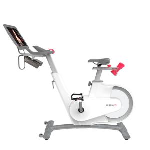 Купить Велотренажер Yesoul BV1-W PLUS в Марксе 