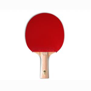 Купить Ракетка Gambler Zebrabrawood classic volt M (прямая) в Марксе 